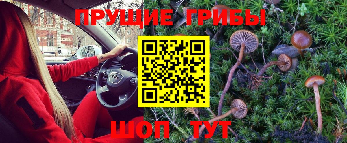 Псилоцибиновые грибы Magic Shrooms  Вход с VPN  Удомля 
