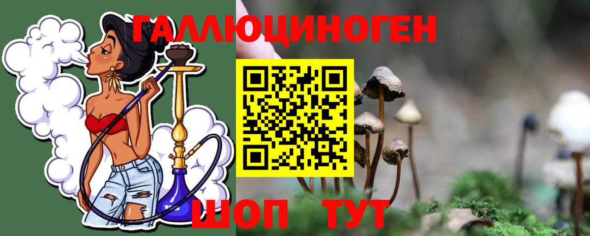 Галлюциногенные грибы ЛСД Удомля